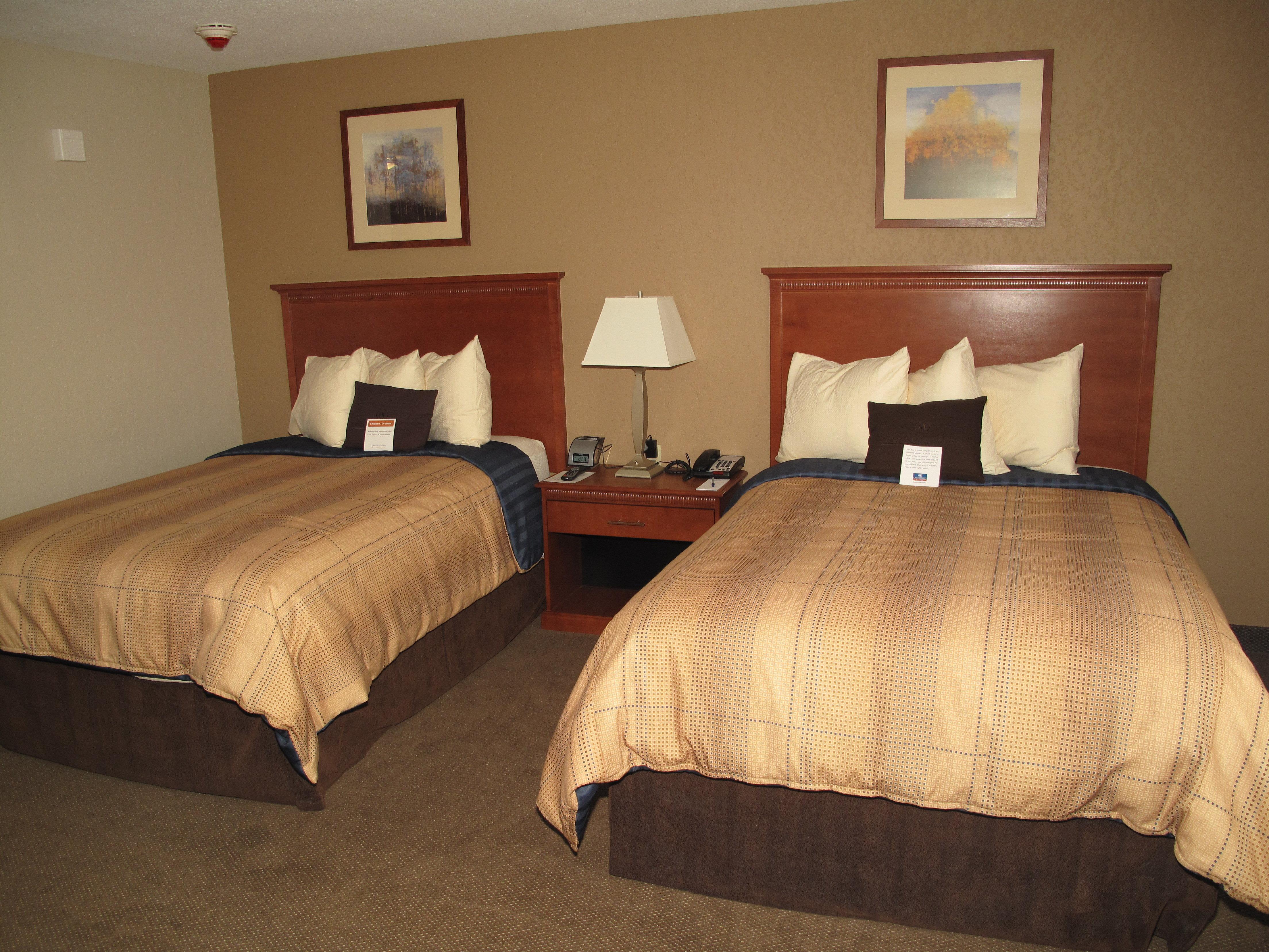Candlewood Suites Elgin - Northwest Chicago By Ihg Phòng bức ảnh